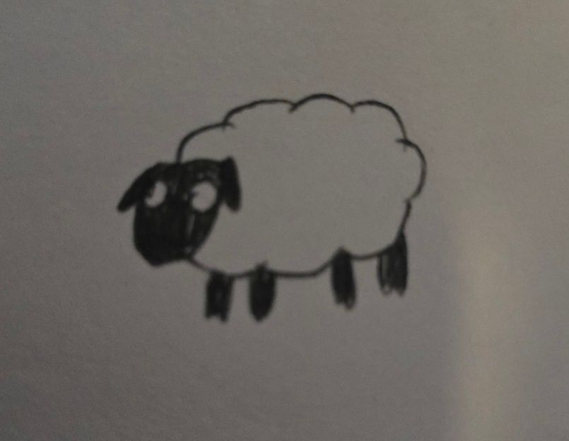 Simple drawing of a sheep