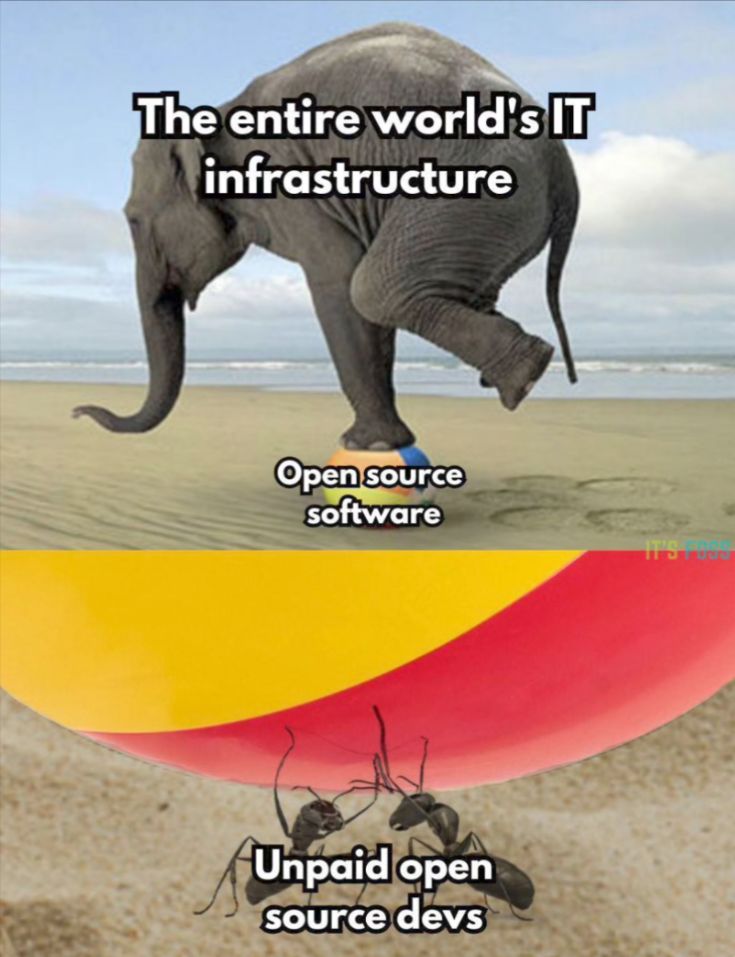 Un éléphant avec la mention "The entire world's IT infrastructure", sur un petit ballon, avec mention "Open Source" puis des petites fourmis qui portent le ballon avec la mention "Devs"