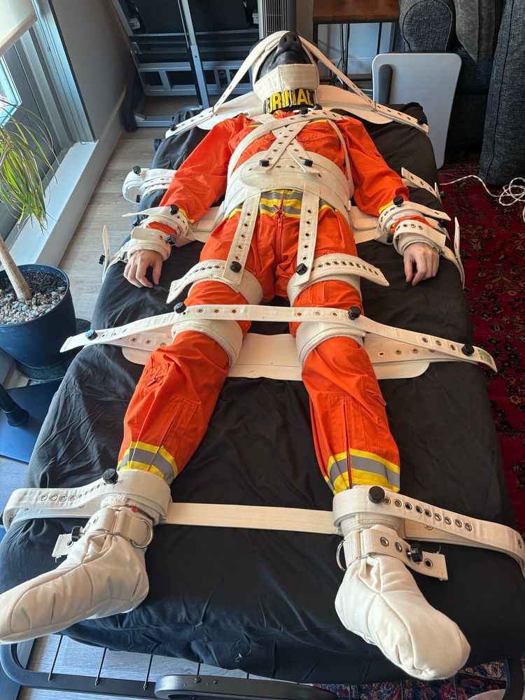 This is wearing an orange jumpsuit with high-vis stripes and trapped in a segufix on top of a black rolling bed, Sir. Also this is wearing a pig mask and collar marked “URINAL”, Sir.