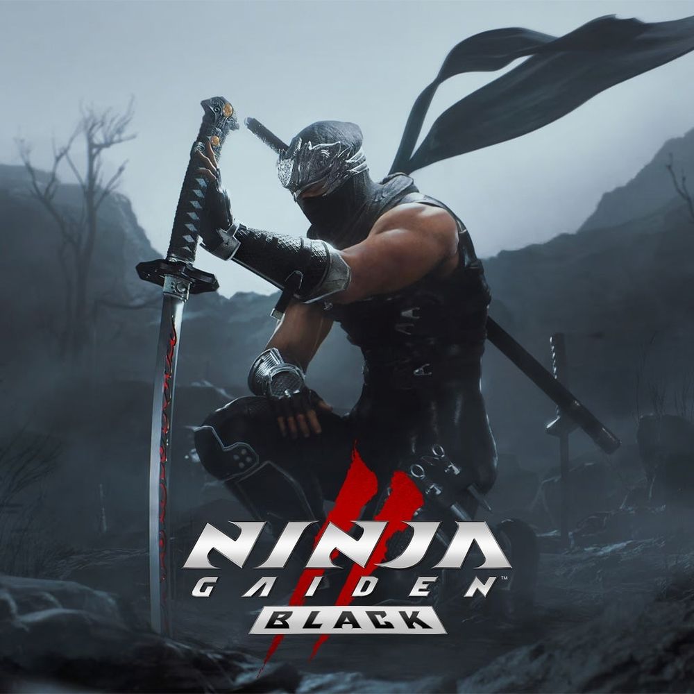 Cover image for Ninja Gaiden 2 Black
