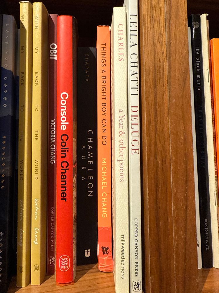 MICHAEL CHANG, THINGS A BRIGHT BOY CAN DO