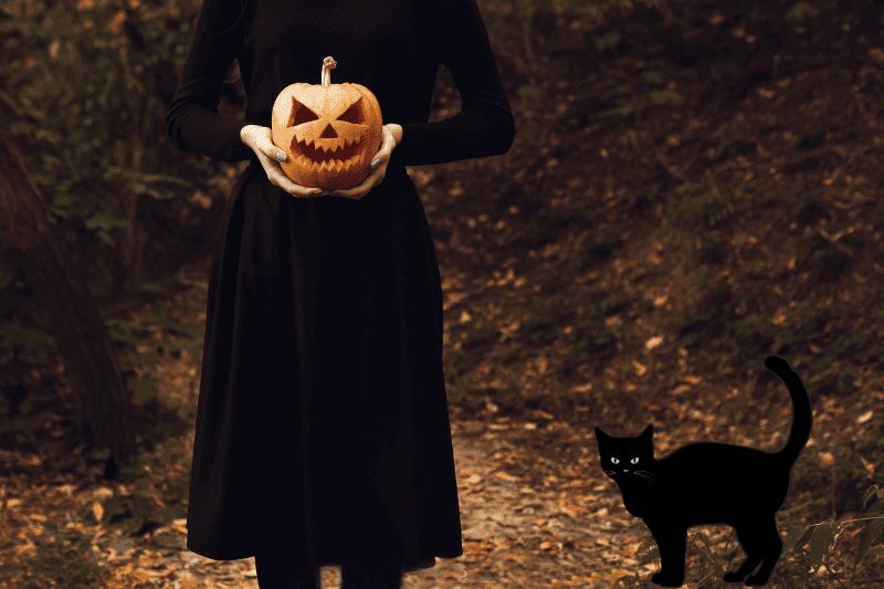 Black clothed witch holding a pumpkin in her hands, accompanied by a black cat, both standing on a ground filled with brown leaves.