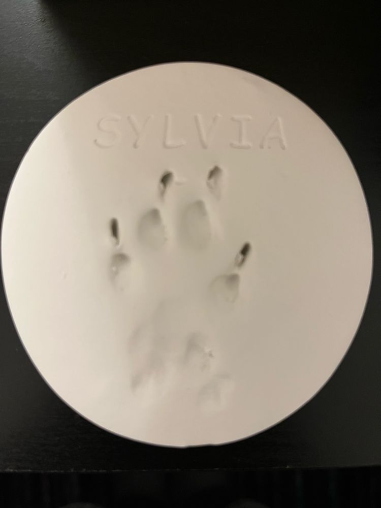 A memorial clay paw print from a cat, with text reading “Sylvia”