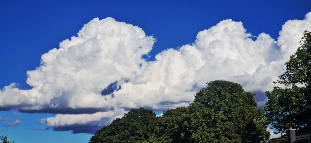Große, leuchtend weiße Quellwolken vor einem tiefblauen Himmel über einer Baumreihe mit dichtem, grünem Laub. 