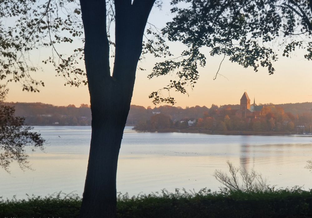 Morgendlicher Blick durch Bäume auf einen ruhigen See mit einem Dom am gegenüberliegenden Ufer.
