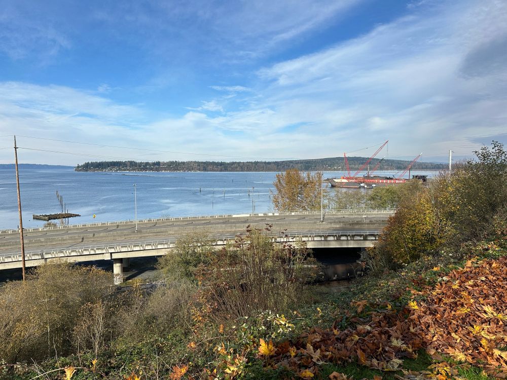 Viewpoint overlooking brushy slope leading to the water. Roadway overpass in midground. Large red boat on the water in the distance. 