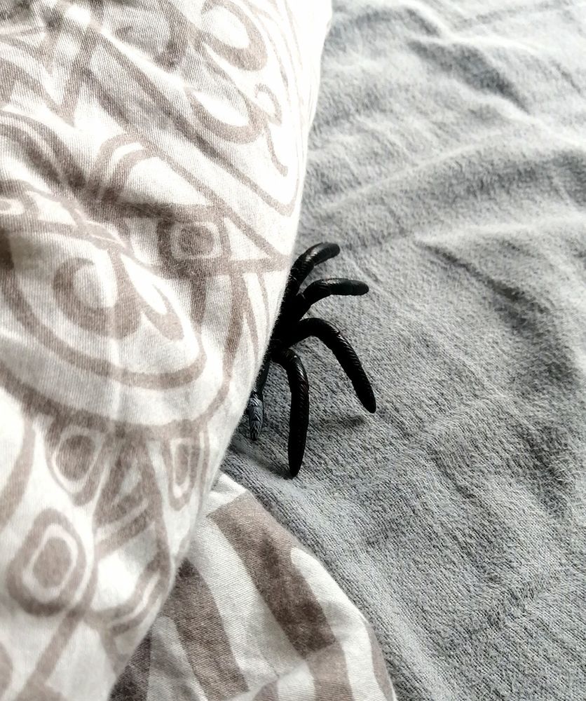 Bettdecke, unter der vier schwarze Spinnenbeine hervorguclen. 