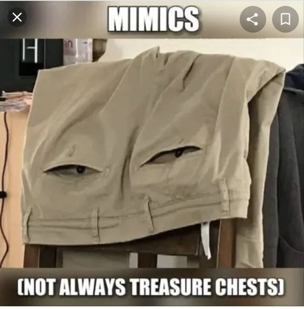 A pair of trousers giving you the Criminal side eye, looking like a mimic.