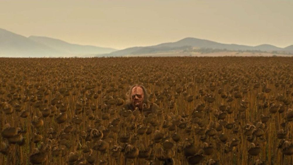 TCM 2022 LF chilling in a field 