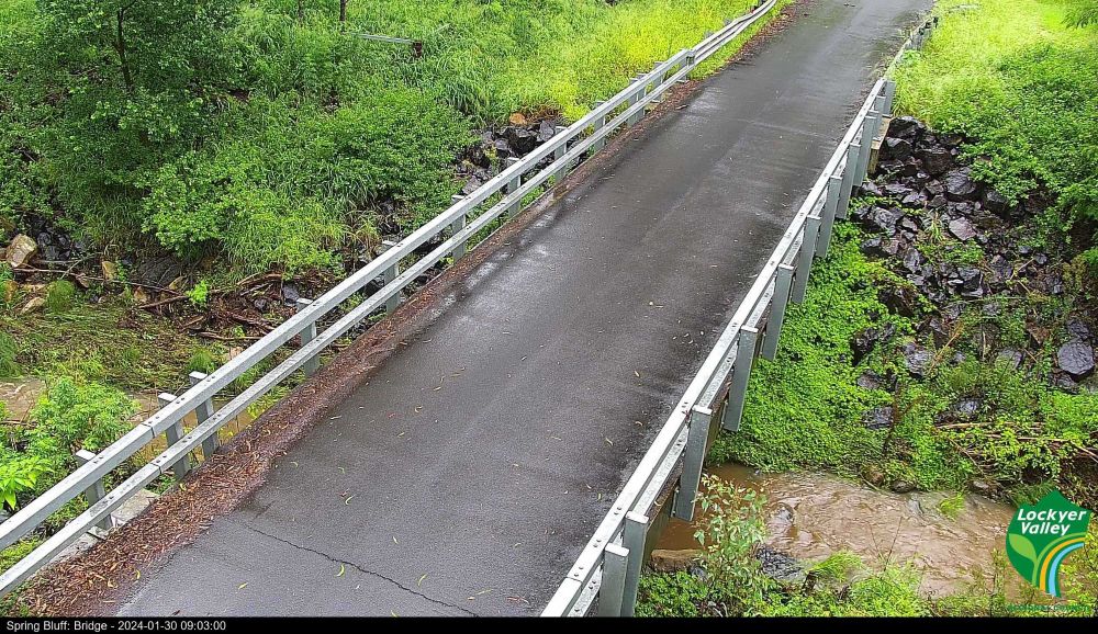 A photo of a clean looking bridge with steel rails, smooth asphalt. Surrounded by green bushes and trees.
