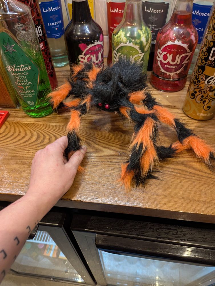 my hand holding the front leg of a very unrealistic orange and brown "scary" spider Halloween ornament