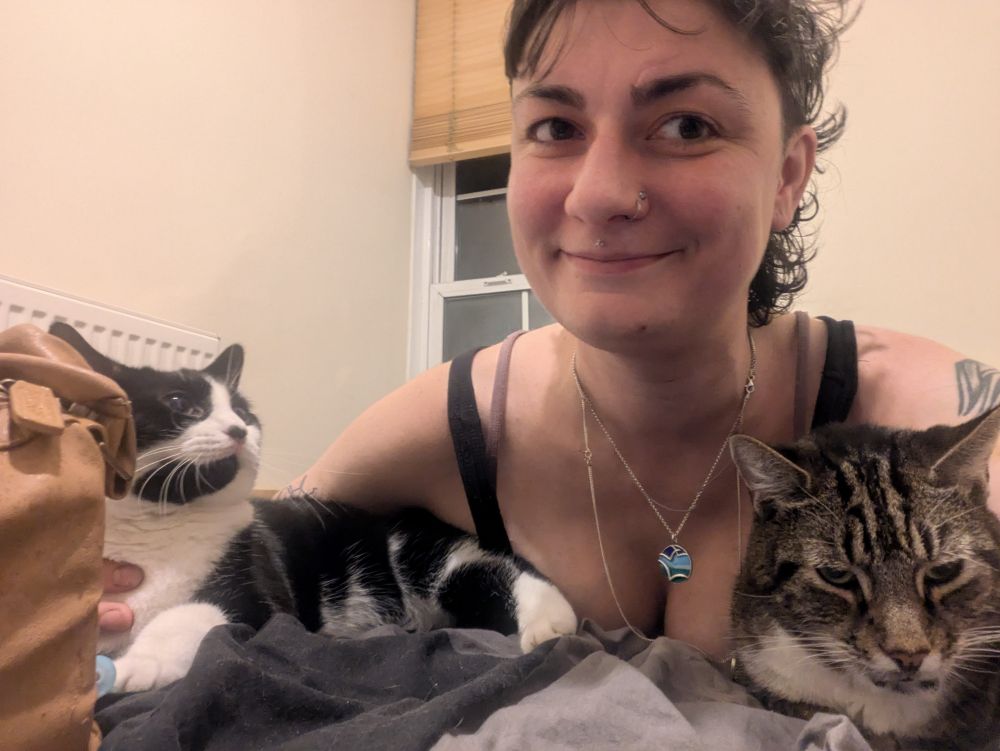 me with the little black and white cat under one arm and the big tabby cat under the other. that's right it's the three amigos and our shared braincell