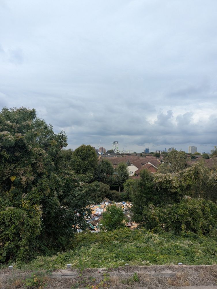 the view from South Bermondsey station platform including a vista of informal landfill 