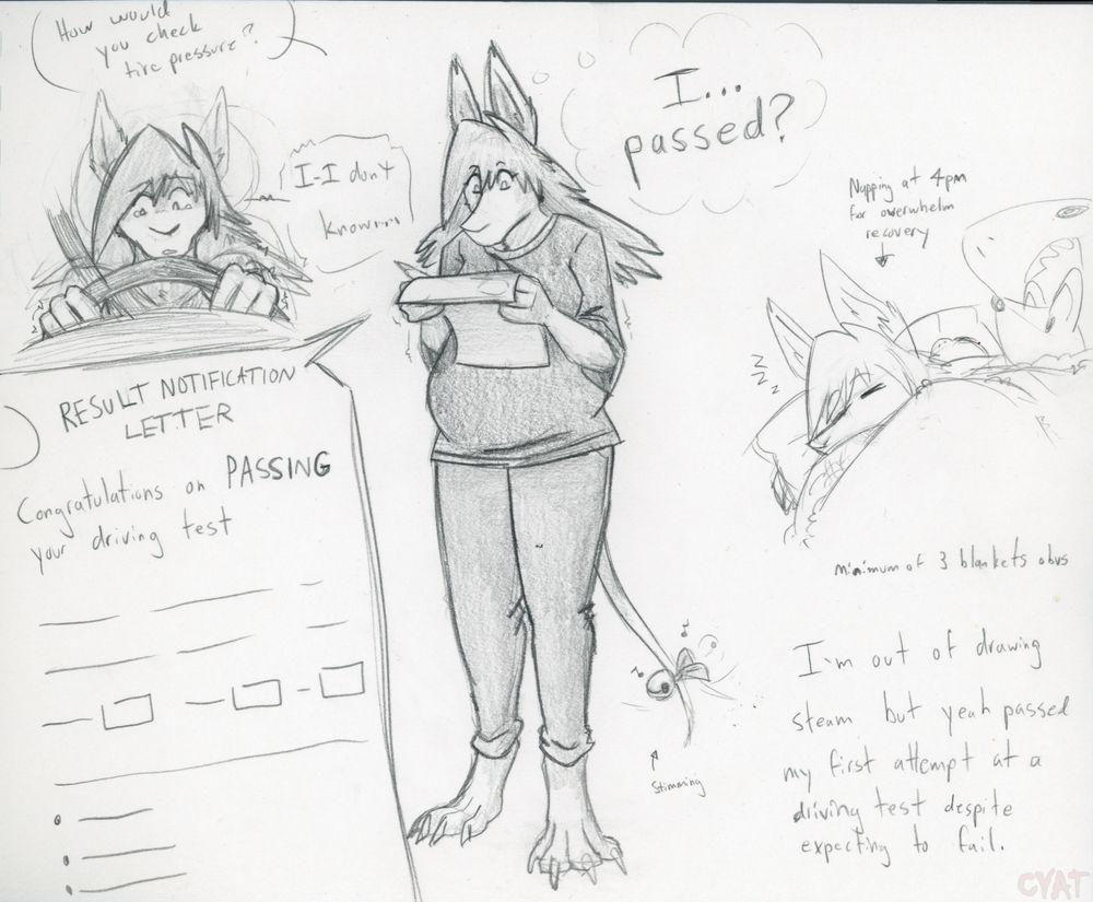Pencil sketches of a burmecian looking at a piece of paper verifying passing her driving test. On the top left she's being questioned about road safety rules and becoming anxious over not knowing the answer. On the right is a drawing of her asleep surrounded by plushies.