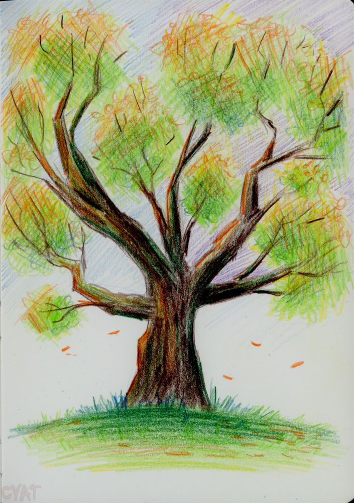 Coloured pencil drawing of a stylised tree in autumn shedding its leaves