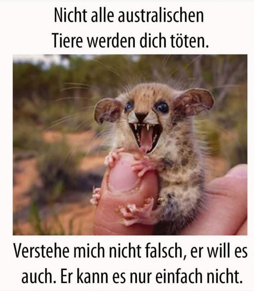 Daumengrosses flauschiges Tier mit grossen Augen und weit aufgerissenem Maul umklammert einen menschlichen Daumen, als ob es mit seinen spitzen Zähnen hinein beissen will. Dabei steht dieser Text darüber: Nicht alle australischen Tiere werden dich töten.
Und dieser Text steht darunter: Verstehe mich nicht falsch, er will es auch. Er kann es nur einfach nicht.
