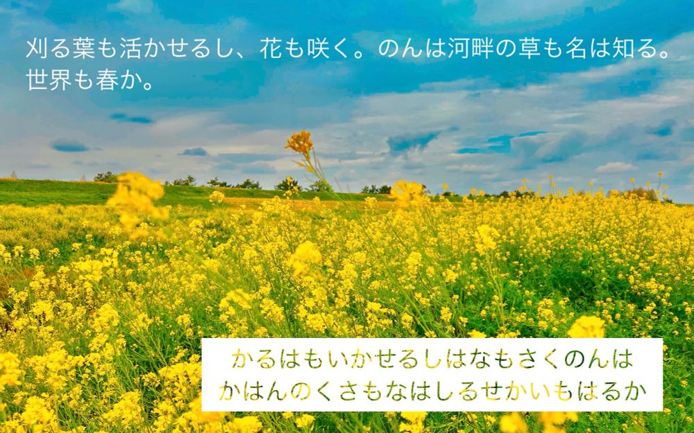 刈る葉も活かせるし、花も咲く。
のんは河畔の草も名は知る。
世界も春か。
→かるはもいかせるしはなもさくのんはかはんのくさもなはしるせかいもはるか←