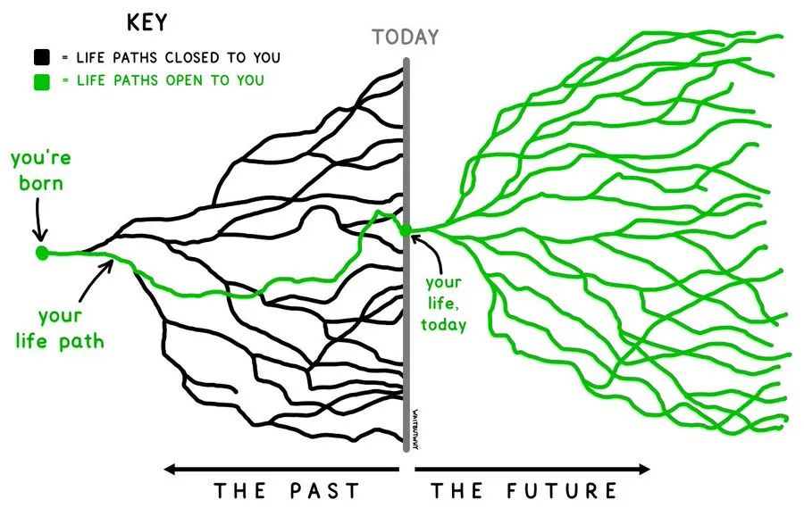 graphic of branching lifelines, with the path taken traced through it. past paths no longer in play are greyed out, possible future paths spread out like a network of roots in front