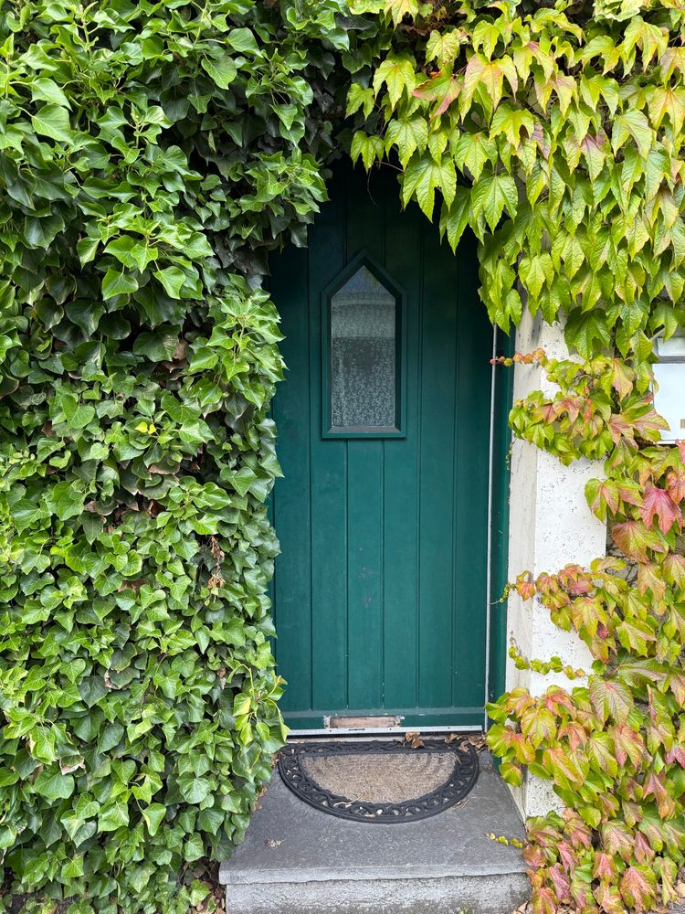 green door almost covered in ivy 