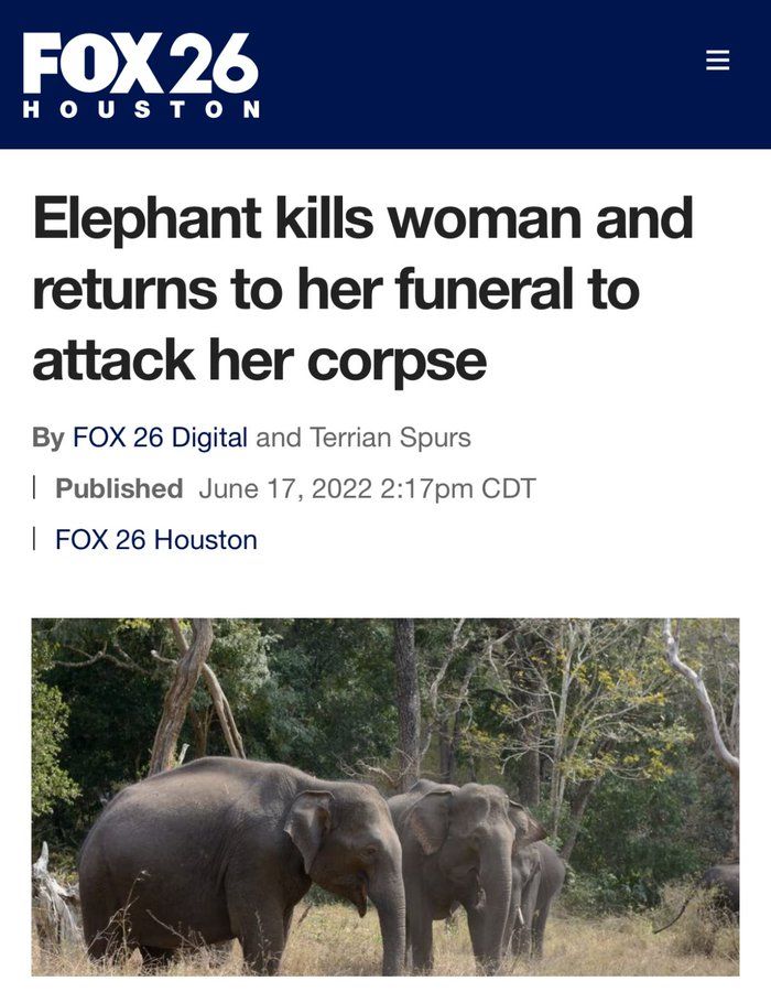 Headline: elephant kills woman then returns to her funeral to attack her corpse
