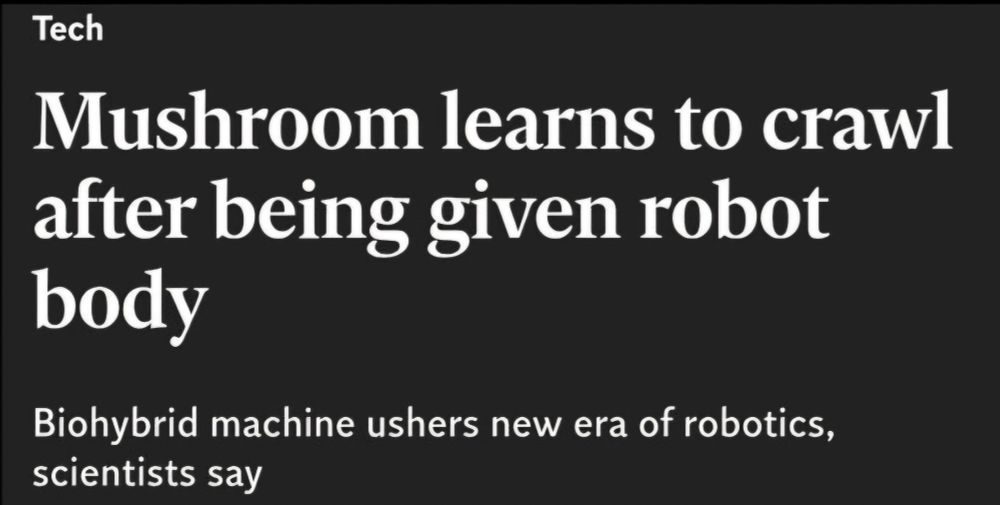 Tech headline: mushroom learns to crawl after being given robot body 