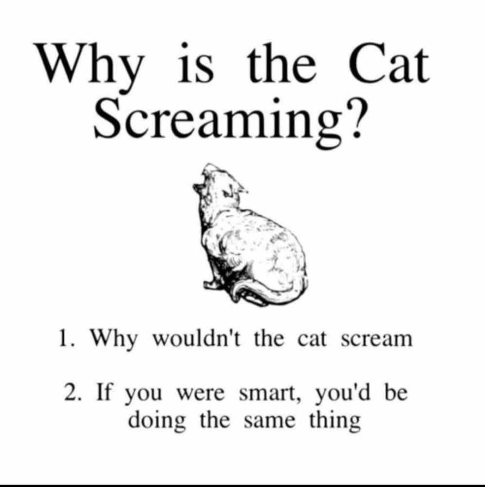 Meme 
Drawing of a cat yelling
Why is the cat screaming?
1. Why wouldn't the cat scream
2. If you were smart, you'd be doing the same thing