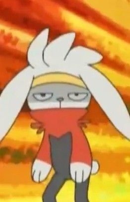 This is an image of an annoyed (or very tired) Raboot.