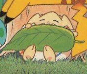 this is a picture of a togepi sleeping with a leaf as its blankie