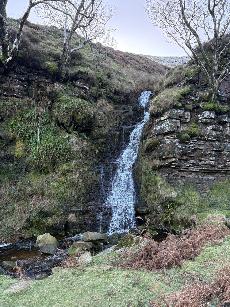 A waterfall. Water is falling down it from the upper (wet) part to the lower (even wetter) part.
