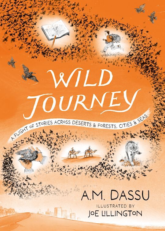 The cover of WILD JOURNEY: A flight of stories across deserts and forests, cities and seas. We see pics of a wounded starling, some camels and a wolf, surrounded and connected by a murmuration of starlings. Teh background is orange. It's by A.M. Dassu, illustrated by Joe Lillington. 