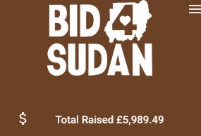 Screenshot of Bid 4 Sudan site with the total raised: £5,989.49! So if someone bids (oh god maths) just over a tenner on something, we will be over 6k. I think?