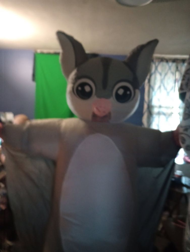 Sugar glider blow up costume for when ice inevitably comes to my city 