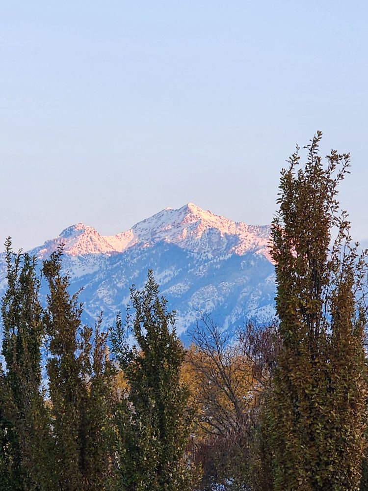 The mountains (wasatch range) peeking behind trees at a place called Wheeler Farm