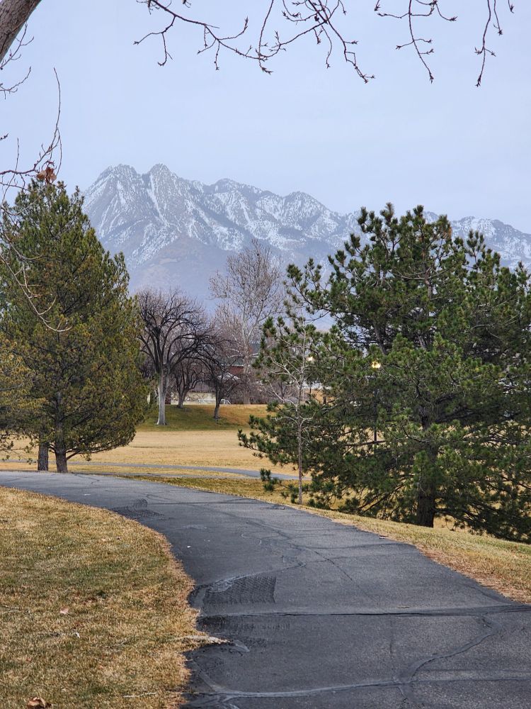 A trail surrounded by a few Evergreen trees with large mountains (specifically the wasatch range) in the background. The colours are muted, very wintery looking. 