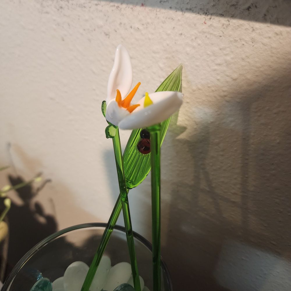 Three small glass stem flowers. 