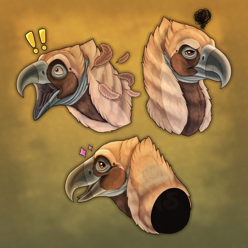 A set of headshot drawings of a Cinereous vulture character displaying various expressions. The top left drawing shows him with a shocked expression, with exclamation point icons above his head and feathers flying off of his neck. The top right bust shows him with an angry expression, with an angry scribble icon above his head. The bottom drawing shows him looking behind himself with large eyes and a smile, with little sparkle icons above his head.