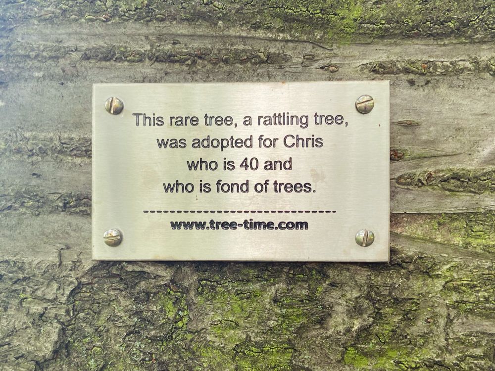 A plaque on a tree. It reads: ‘This rare tree, a rattling tree, was adopted for Chris who is 40 and who is fond of trees’.
