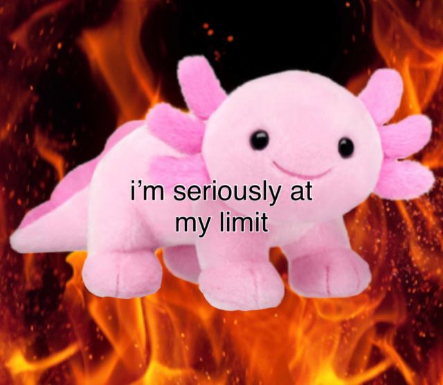 plushie pink axolotl over flame background. black text reads "i'm seriously at my limit"