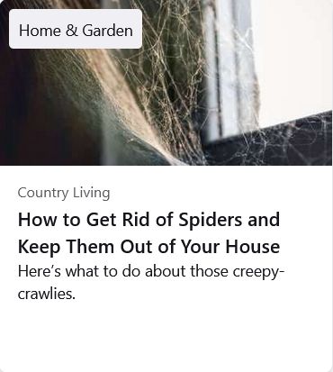 A picture of an article titled 'How to get rid of spiders and keep them out of your house - here's what to do about those creepy-crawlies.'