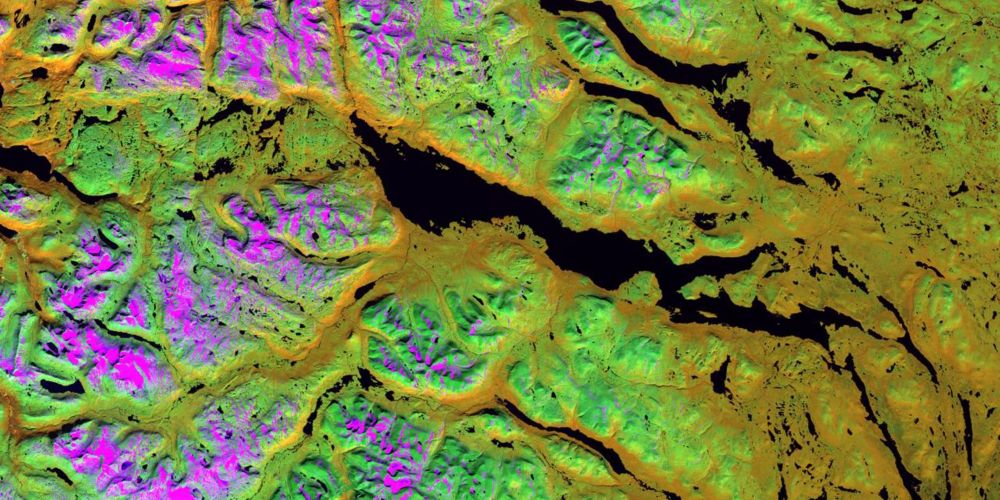 Satellite data over the Swedish mountains provides new information on the health of the vegetation