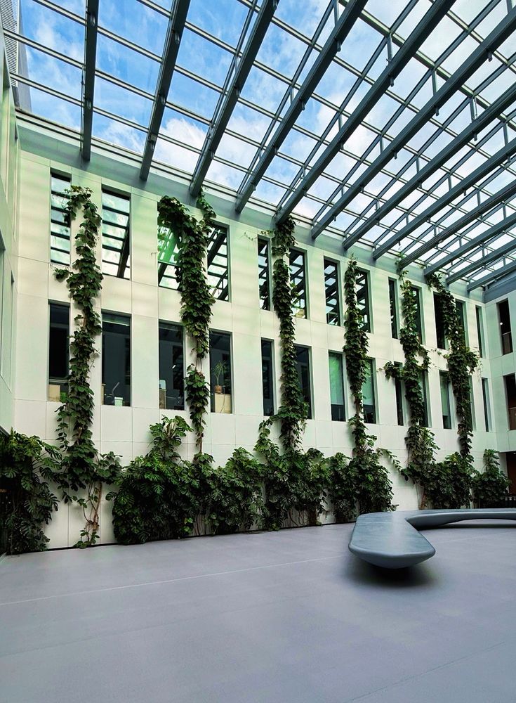 A modern atrium with tall glass windows and vertical green vines. 