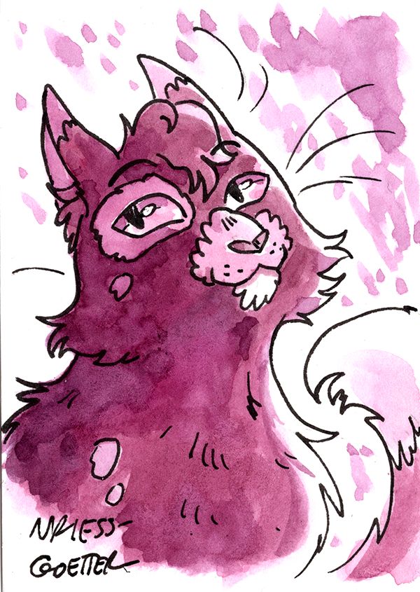 sketch of a cat with cool spots