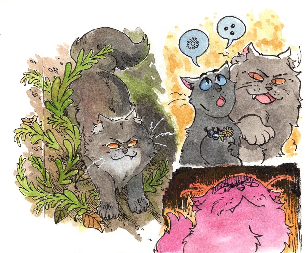 drawings of the warrior cat known as ‘yellowfang’ 