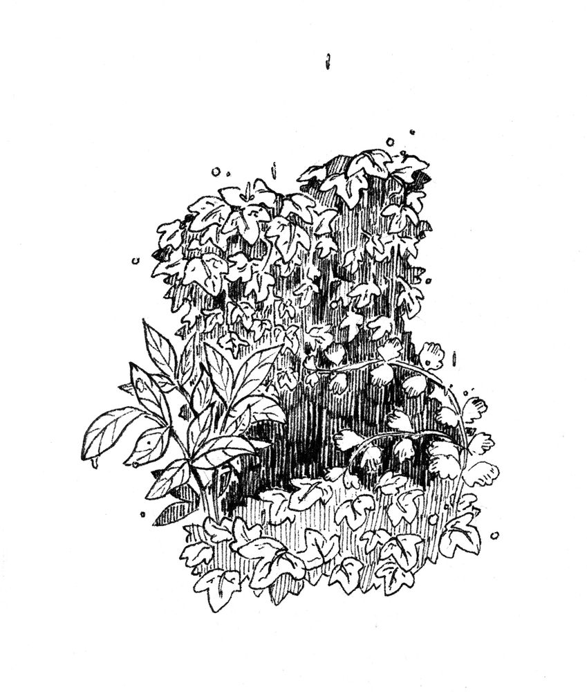 misc foliage in ink