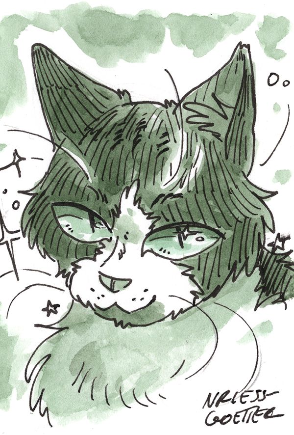 sketch of a cat with beautiful eyes