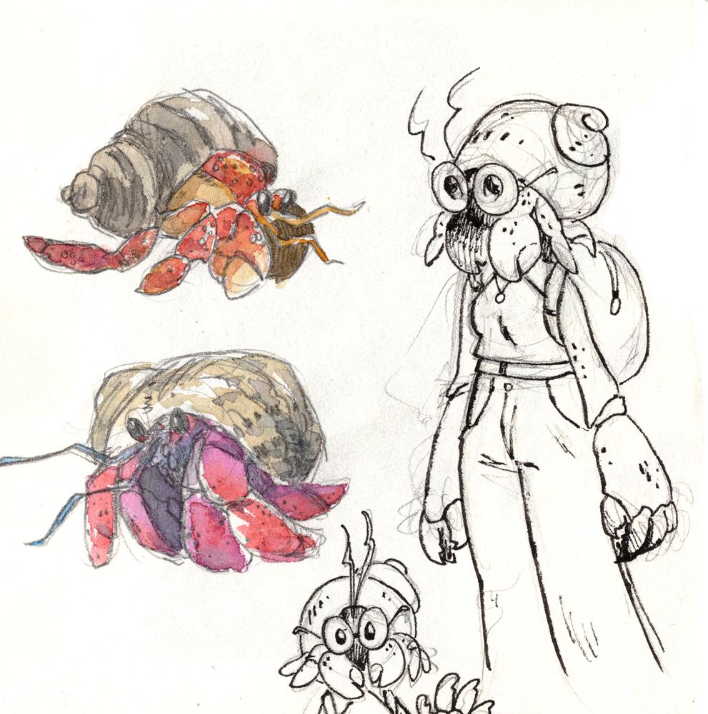 watercolor hermit crabs and a hermit crab woman (woman with a hermit crab for a head...?)