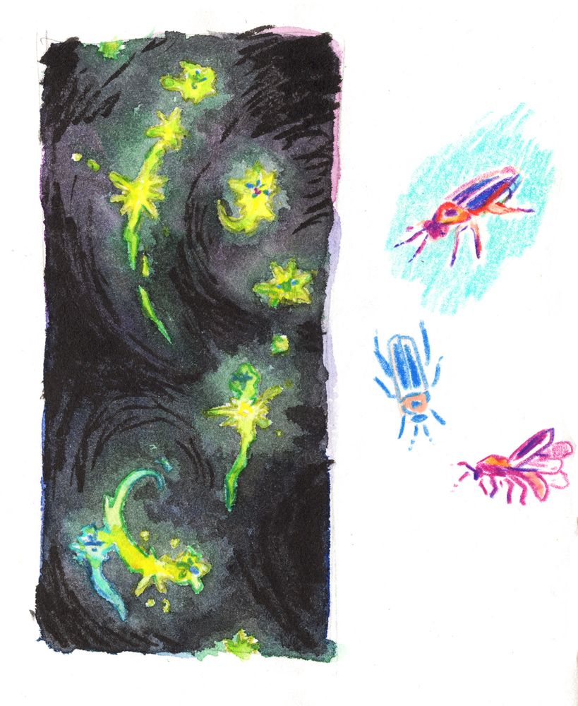 fireflies in colored pencil