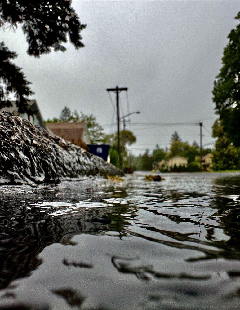 A photo of a rain covered road. The camera sits in a stream of running water that rushes towards the lens. Above the water the edge of the sidewalk, power lines, trees, and houses can be seen. The water looks clear and crisp but the rest of the image has a static quality to it.

"Fuzzy & Rainy - A.R. Connolly"