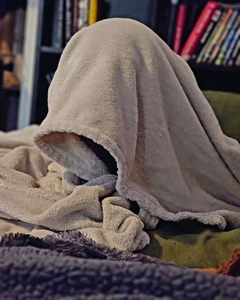 A cream colored fuzzy blanket standing up in the shape of a ghost. There is a dog under it but you cant see him