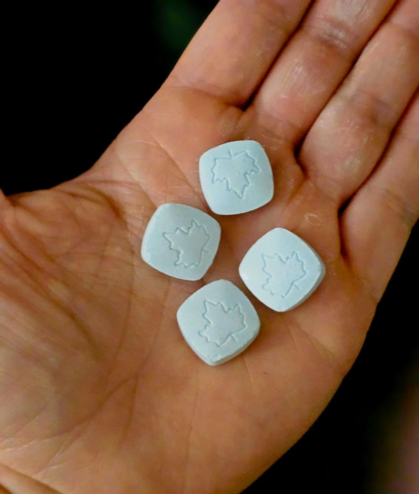 Four square chewable creatine tablets stamped with a maple leaf on the palm of a calloused hand